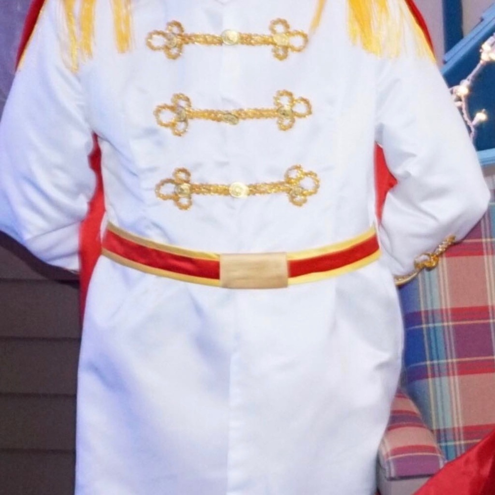 Prince Charming Costume - Worn Once!